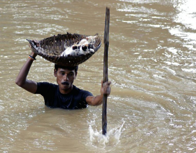 This picture of a villager carrying stranded kittens to dry land during floods in Cuttack City, India. 