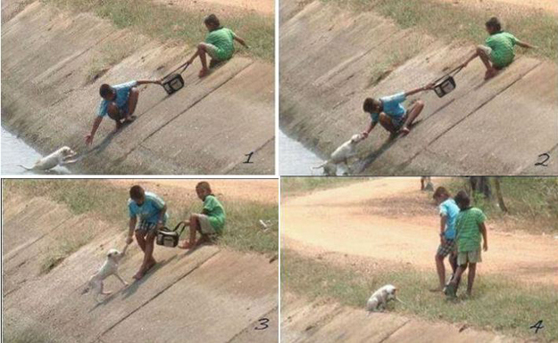 These photos of two children collaborating to rescue a dog who had fallen into a ravine. 