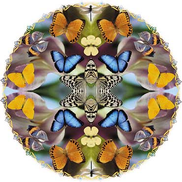 The butterfly flies free in the mandala (wheel) of time.