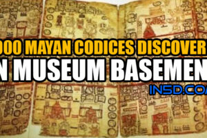1,000 Mayan Codices Discovered in Museum Basement
