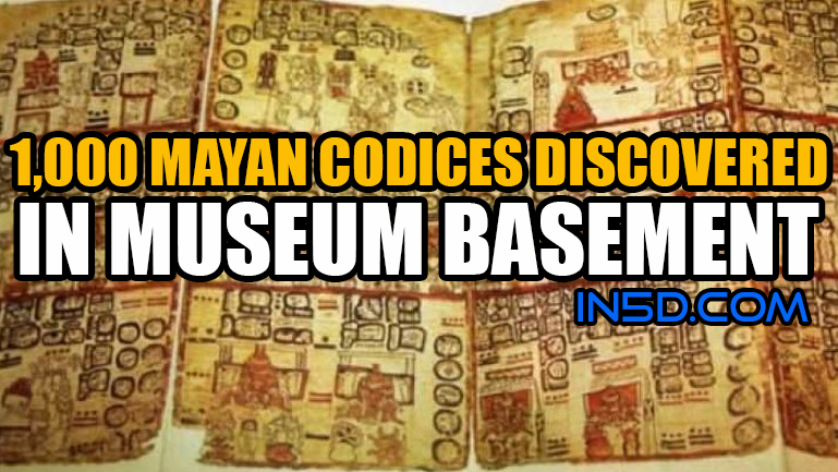 1,000 Mayan Codices Discovered in Museum Basement