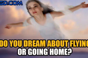 Do You Dream About Flying Or Going Home?