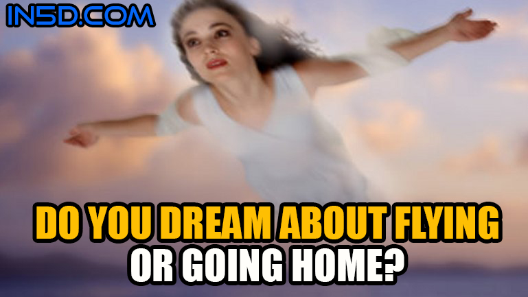 Do You Dream About Flying Or Going Home?