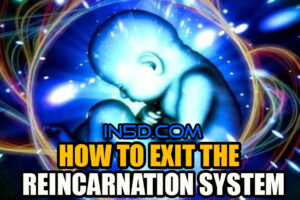 How To Exit The Reincarnation System