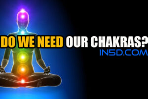Do We Need Our Chakras?