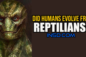 Did Humans Evolve From Reptilians?