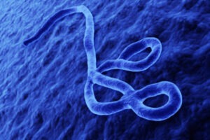 Ebola, Vaccines, Immunity And You – A 5D Perspective