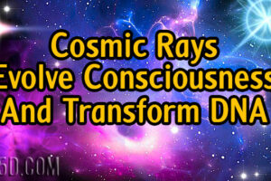 Do Cosmic Rays Evolve Consciousness And Transform DNA?