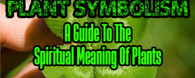 Plant Symbolism - A Guide To The Spiritual Meaning Of Plants