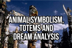 Animal Symbolism, Totems And Dream Analysis From A To Z