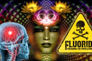 A Fluoride-Free Pineal Gland Is More Important Than Ever