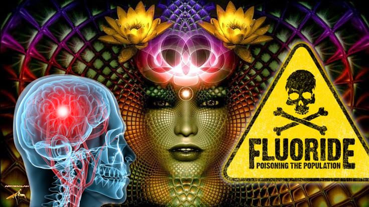 A Fluoride-Free Pineal Gland Is More Important Than Ever