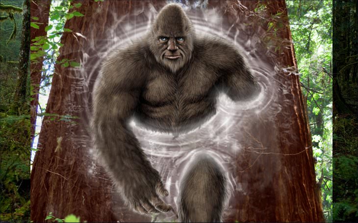 Sasquatch Contactee Delivers Message To Humanity