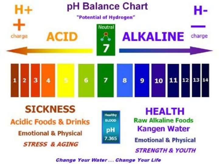 List of Alkaline Foods - The pH Balanced Diet