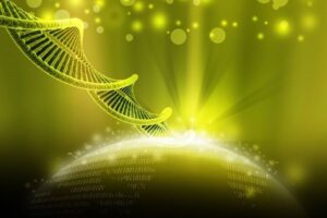 DNA Activation, Upgrade and Ascension