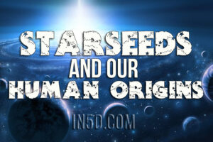 Starseeds And Our Human Origins