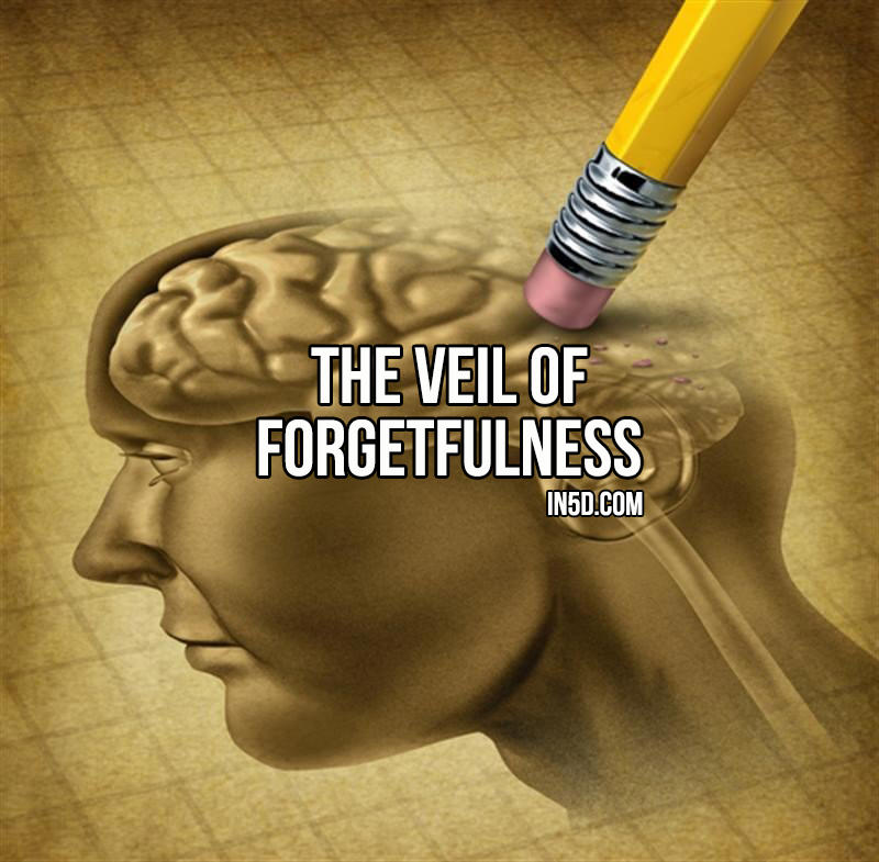The Veil Of Forgetfulness
