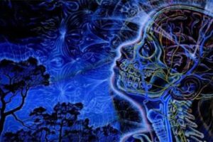 10 Questions About The Pineal Gland That Add To The Mystery Of Spirituality