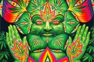 Cannabis And The Pineal Gland : Turn On The Third Eye