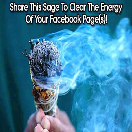 Share this sage! Facebook: In5 Website: //www.in5d.com/
