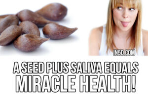 Dr. Ed Group – Genetic Blueprint – A Seed Plus Saliva Equals Miracle Health