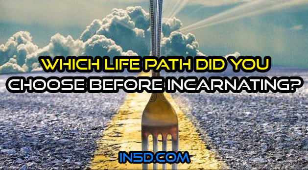 Everyone Chooses A Life Theme Before Incarnating. Which Did YOU Choose?