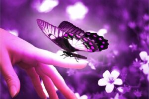The Esoteric Meaning Of The Butterfly