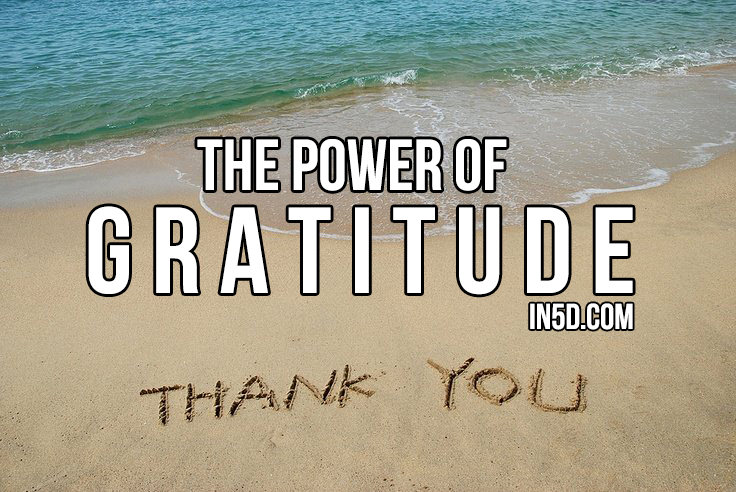 Discover The Power Of Gratitude To Unleash Unlimited Abundance And Happiness In Your Life in5d