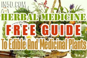 FREE GUIDE To Edible And Medicinal Plants – Herbal Medicine