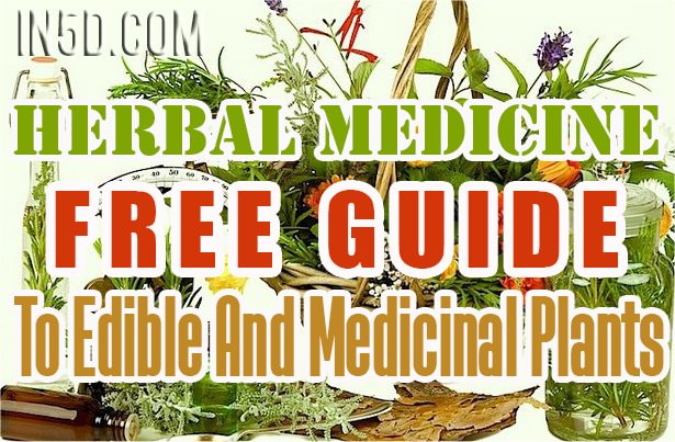 FREE GUIDE To Edible And Medicinal Plants - Herbal Medicine