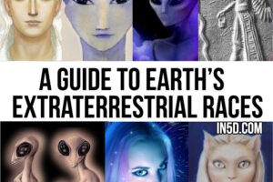 A Guide To Earth’s Extraterrestrial Races