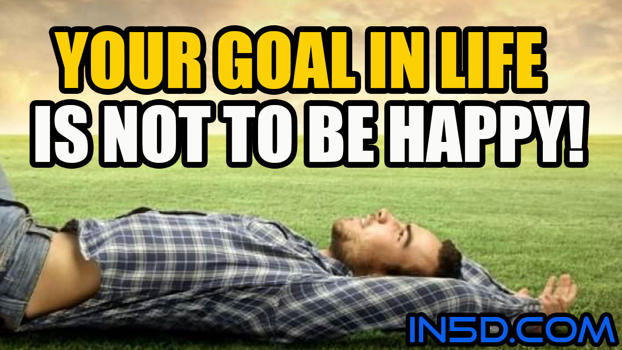 Your Goal In Life Is Not To Be Happy