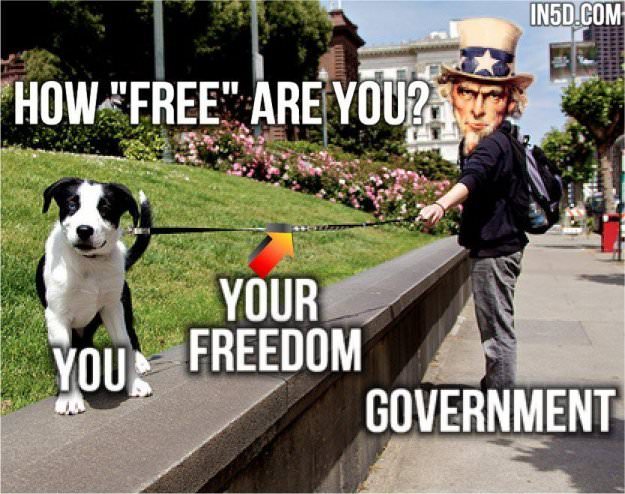 I often use an analogy of freedom as a man walking his dog. The man is the government, you are the dog and the leash is your freedom. in5d in 5d