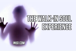 The Walk-In Soul Experience