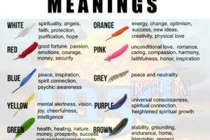 This Is What Different Feather Colors Mean