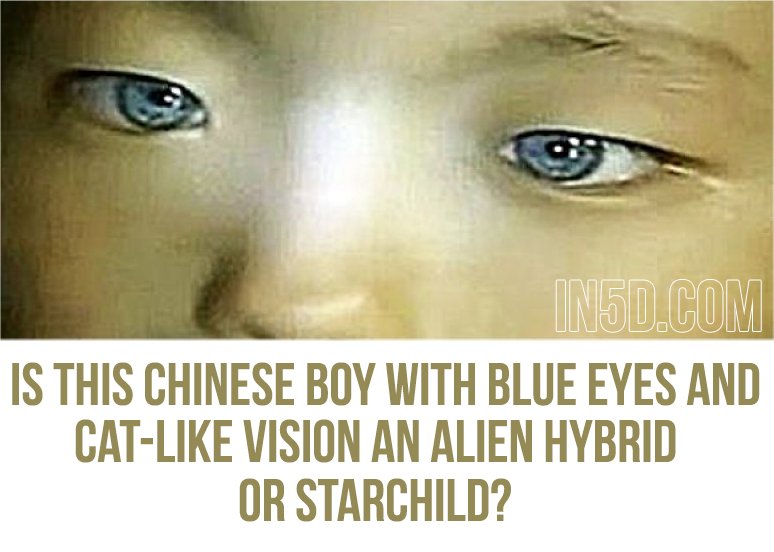 Is This Chinese Boy With Blue Eyes And Cat-Like Vision An Alien Hybrid Or Starchild? in5d in 5d in5d.com www.in5d.com 