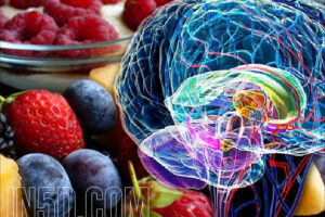 Decalcify The Pineal Gland With Alkaline Foods