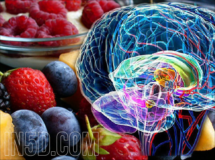 Decalcify The Pineal Gland With Alkaline Foods in5d in 5d in5d.com www.in5d.com 