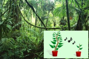 Amazing Singing Plants Phenomenon