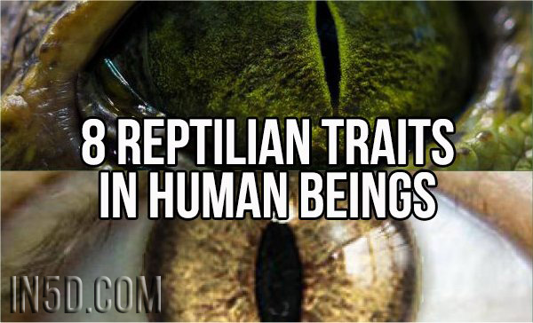 8 Reptilian Traits In Human Beings