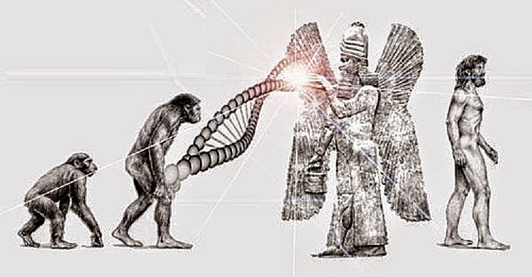 A Look Into The Origins Of Mankind: Does This Explain Evolution’s “Missing Link?” in5d in 5d in5d.com www.in5d.com 