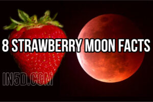 8 Strawberry Moon Facts