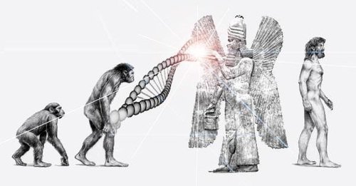 Could the missing link in human evolution be answered by the idea that extra-terrestrials genetically engineered the DNA from neanderthal man, combining it with their own DNA?