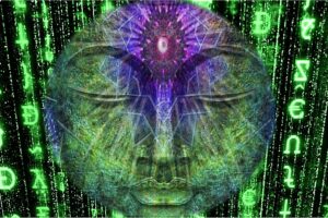 Disconnecting From The Matrix And Reconnecting With Consciousness