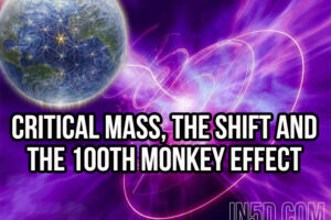 Critical Mass, The Shift And The Hundredth Monkey Effect