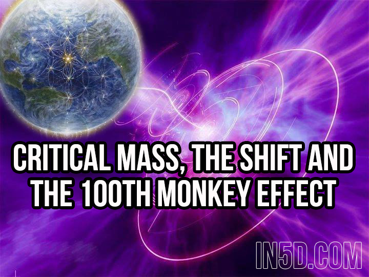 Critical Mass, The Shift And The Hundredth Monkey Effect in5d in 5d in5d.com www.in5d.com //in5d.com/%20body%20mind%20soul%20spirit%20BodyMindSoulSpirit.com%20http://bodymindsoulspirit.com/