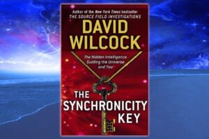 David Wilcock: The Synchronicity Key