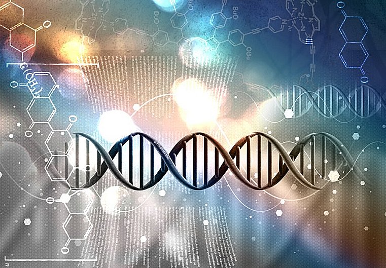 Junk DNA And Human Consciousness
