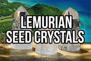 All About Lemurian Seed Crystals