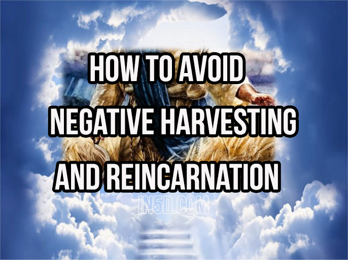 How To Avoid Negative Harvesting And Reincarnation